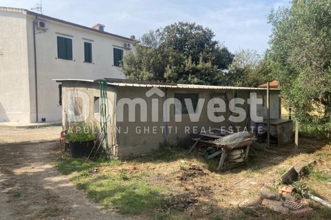 Landejendom i Capalbio, Grosseto, Capalbio - € 180.000 | Ref: v-0081 - foto 12