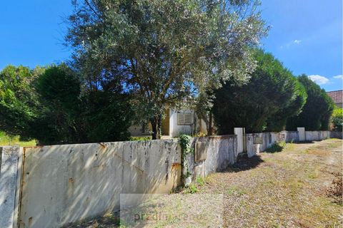 Byhus i Amarante, Porto, Amarante - € 396.000 | Ref: M/11272 - foto 23