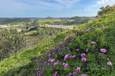 Helårsgrund i Budens, Faro, Budens - € 230.000 | Ref: L659 - foto 26