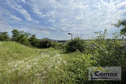 Terra a Albettone, Vicenza, Albettone - € 130.000 | Ref: T1277 - foto 3