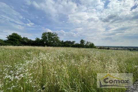 Terra a Albettone, Vicenza, Albettone - € 130.000 | Ref: T1277 - foto 10