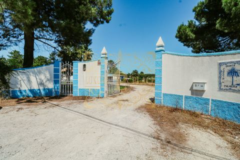 Byhus i Setubal, Setubal, Setubal - € 1.600.000 | Ref: LPS28/188 - foto 5