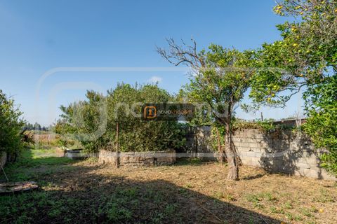 Villa i Aveiro, Aveiro, Aveiro - € 155.000 | Ref: Ni1949 - foto 10