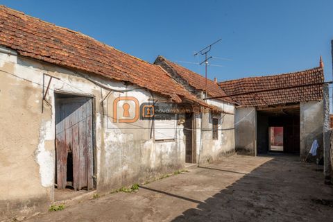 Villa i Aveiro, Aveiro, Aveiro - € 155.000 | Ref: Ni1949 - foto 9