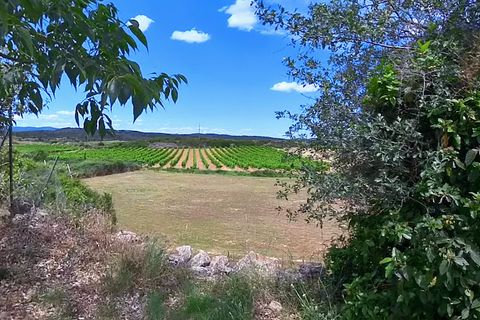 Villa a Aigne, Herault, Aigne - € 319.000 | Ref: bma - foto 32