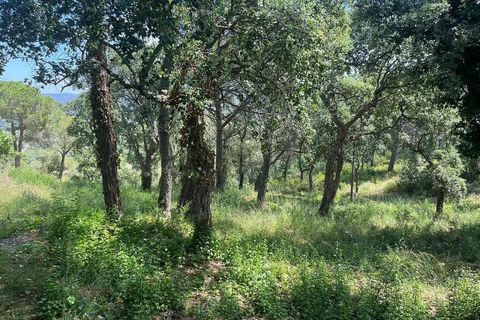 Helårsgrund i Calonge, Gerona, Calonge - € 130.000 | Ref: CBF4882 - foto 2