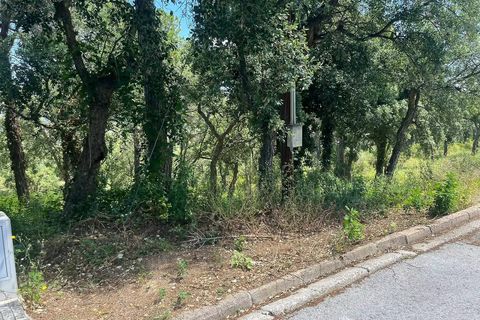 Helårsgrund i Calonge, Gerona, Calonge - € 130.000 | Ref: CBF4882 - foto 3