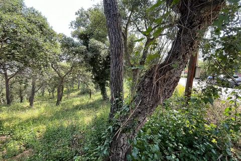 Helårsgrund i Calonge, Gerona, Calonge - € 130.000 | Ref: CBF4882 - foto 6