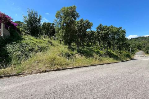 Tomt i Calonge, Gerona, Calonge - € 675 000 | Ref: CBF4881 - foto 7