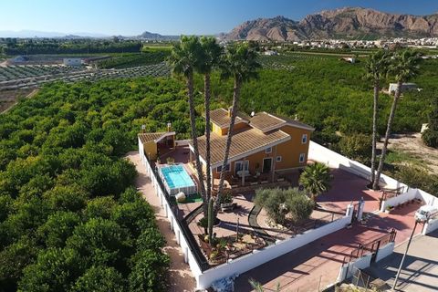 Landejendom i Orihuela, Alicante, Orihuela - € 675.000 | Ref: LMCD-52274 - foto 25