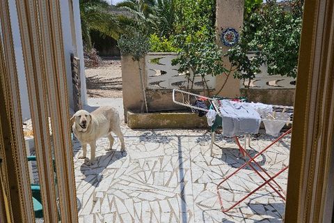 Erhvervsejendom i Elda, Alicante, Elda - € 525.000 | Ref: La Torreta - foto 41