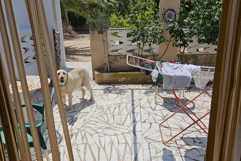 Erhvervsejendom i Elda, Alicante, Elda - € 525.000 | Ref: La Torreta - foto 36