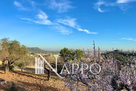 Villa a Inca, Mallorca, Inca - € 3.950.000 | Ref: 2727 - foto 5