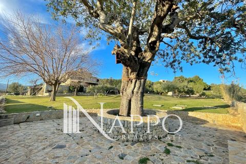 Villa a Inca, Mallorca, Inca - € 3.950.000 | Ref: 2727 - foto 8