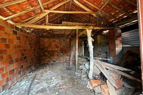 Villa a Freixianda, Santarem, Freixianda - € 175.000 | Ref: 1276 - foto 6