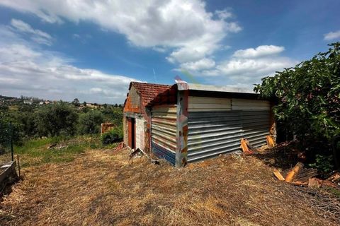 Villa a Freixianda, Santarem, Freixianda - € 175.000 | Ref: 1276 - foto 8