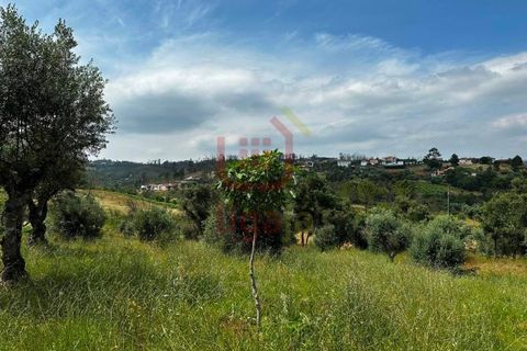Villa a Freixianda, Santarem, Freixianda - € 175.000 | Ref: 1276 - foto 9