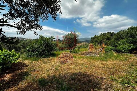 Villa a Freixianda, Santarem, Freixianda - € 175.000 | Ref: 1276 - foto 10