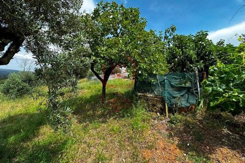 Villa a Freixianda, Santarem, Freixianda - € 175.000 | Ref: 1276 - foto 11
