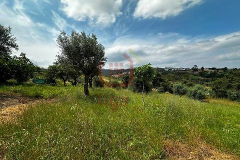 Villa a Freixianda, Santarem, Freixianda - € 175.000 | Ref: 1276 - foto 12