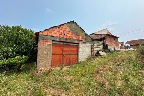 Villa a Freixianda, Santarem, Freixianda - € 175.000 | Ref: 1276 - foto 5