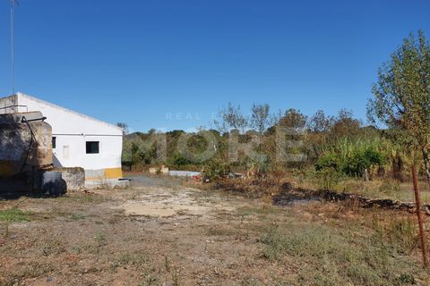 Villa a Alvito, Beja, Alvito - € 620.000 | Ref: 03308/H001 - foto 3