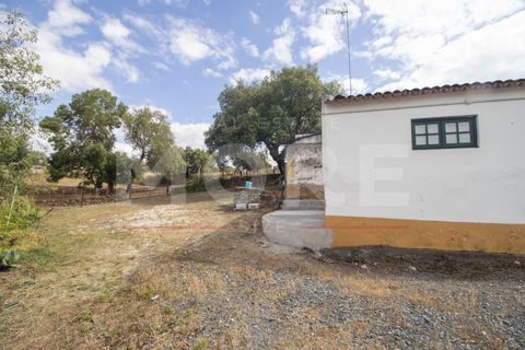 Villa a Alvito, Beja, Alvito - € 620.000 | Ref: 03308/H001 - foto 4