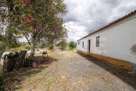 Villa a Alvito, Beja, Alvito - € 620.000 | Ref: 03308/H001 - foto 15