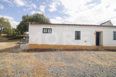 Villa a Alvito, Beja, Alvito - € 620.000 | Ref: 03308/H001 - foto 16