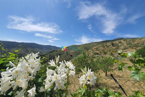 Landejendom i Sierro, Almeria, Sierro - € 269.000 | Ref: 2049 - foto 33