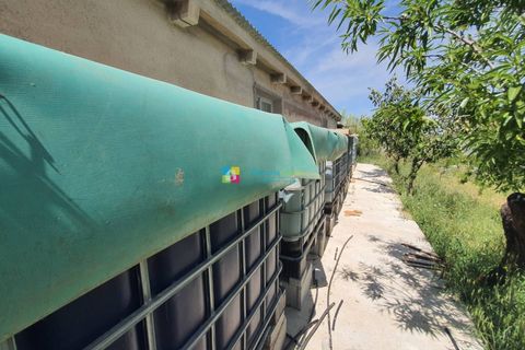 Landejendom i Sierro, Almeria, Sierro - € 269.000 | Ref: 2049 - foto 40