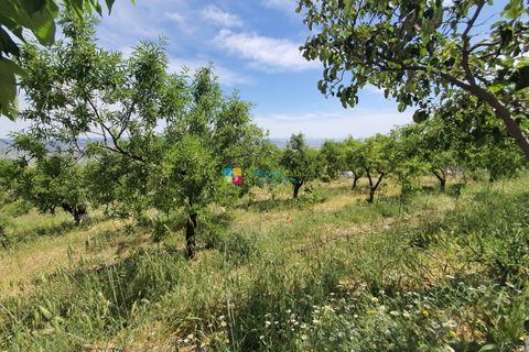 Landejendom i Sierro, Almeria, Sierro - € 269.000 | Ref: 2049 - foto 45