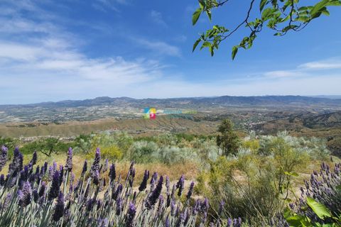 Landejendom i Sierro, Almeria, Sierro - € 269.000 | Ref: 2049 - foto 47