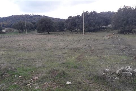 Masia a Zafarraya, Granada, Zafarraya - € 68.000 | Ref: 101 - foto 13