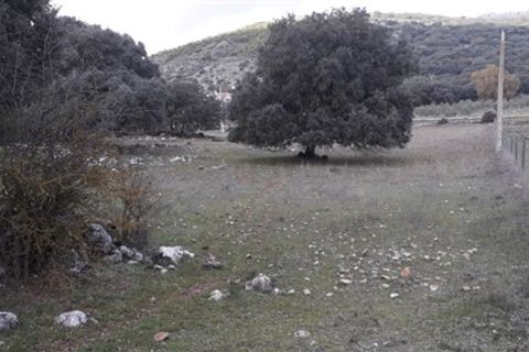 Masia a Zafarraya, Granada, Zafarraya - € 68.000 | Ref: 101 - foto 26