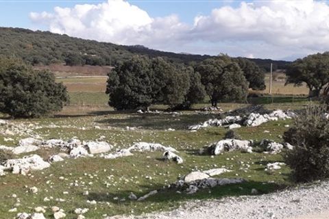 Masia a Zafarraya, Granada, Zafarraya - € 68.000 | Ref: 101 - foto 8