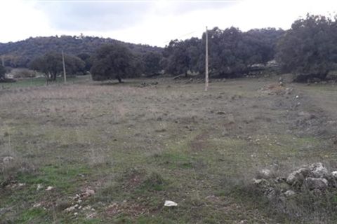 Masia a Zafarraya, Granada, Zafarraya - € 68.000 | Ref: 101 - foto 23