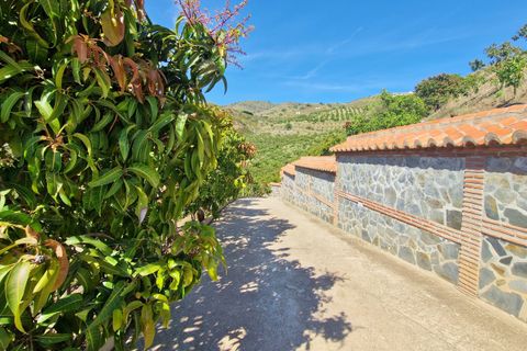 Landejendom i Velez Malaga, Malaga, Velez Malaga - € 695.000 | Ref: AX1318 - foto 11