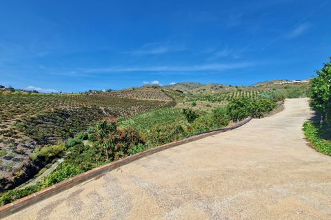 Landejendom i Velez Malaga, Malaga, Velez Malaga - € 695.000 | Ref: AX1318 - foto 36