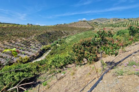 Landejendom i Velez Malaga, Malaga, Velez Malaga - € 695.000 | Ref: AX1318 - foto 34
