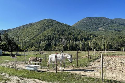 Erhvervsejendom i Sault, Vaucluse, Sault - € 895.000 | Ref: 2603-ANG - foto 14