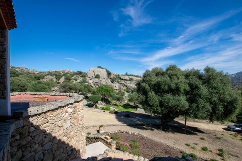 Villa i Arzachena, Sassari, Arzachena - € 970.000 | Ref: 549 - foto 32