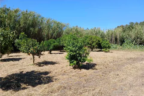 Villa a Arborea, Oristano, Arborea - € 85.000 | Ref: MAR160 - foto 2