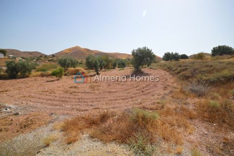 Landejendom i Albox, Almeria, Albox - € 194.500 | Ref: AH-13103 - foto 13