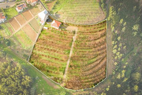 Helårsgrund i Calheta, Madeira, Calheta - € 500.000 | Ref: DSF80 - foto 2