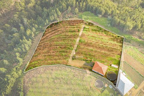 Helårsgrund i Calheta, Madeira, Calheta - € 500.000 | Ref: DSF80 - foto 4