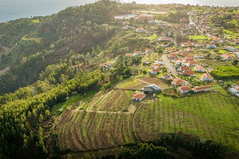 Helårsgrund i Calheta, Madeira, Calheta - € 500.000 | Ref: DSF80 - foto 7