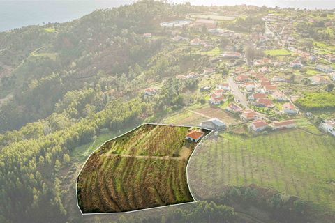 Helårsgrund i Calheta, Madeira, Calheta - € 500.000 | Ref: DSF80 - foto 8