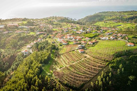Helårsgrund i Calheta, Madeira, Calheta - € 500.000 | Ref: DSF80 - foto 9
