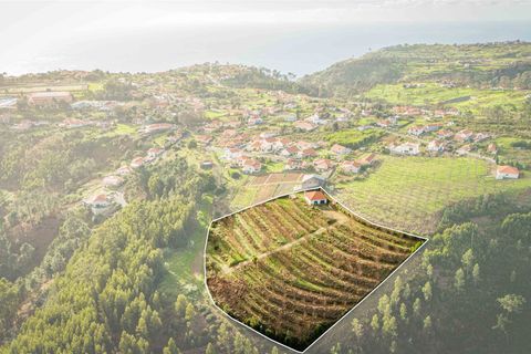 Helårsgrund i Calheta, Madeira, Calheta - € 500.000 | Ref: DSF80 - foto 10